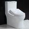 Πλευροχειρεωτικό έξυπνο κάθισμα τουαλέτας με ακροφύσιο από ανοξείδωτο χάλυβα