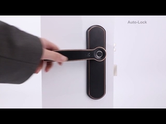 Κατάσταση αποκλεισμού DeJgS2200-EL-BL