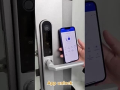 Ακαθάριστο βάρος 2,5kg Φραγκίστικη κλειδαριά πόρτας για την είσοδο / πόρτα διαμερίσματος / πόρτα αυλής / πόρτα ξενοδοχείου