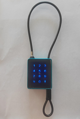 Bluetooth WiFi έξυπνο μπουρνούζι εξωτερικό με ατσάλινο καλώδιο αλυσίδα για Courtycard