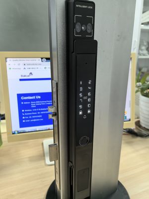 Βίντεο Cat Eye Palm Vein / Face Unlocking Wifi Smart Lock Αλουμίνιο IP65
