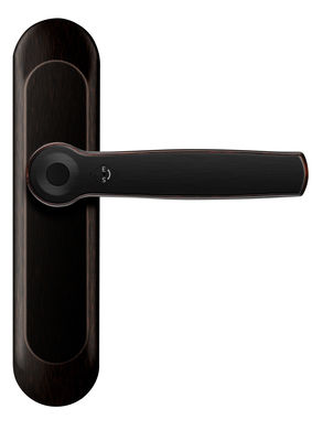 ROHS έξυπνο δακτυλικό αποτύπωμα Bluetooth κλειδαριά πόρτας AI φωνητική χειριστή ψευδαργύρου κράμα